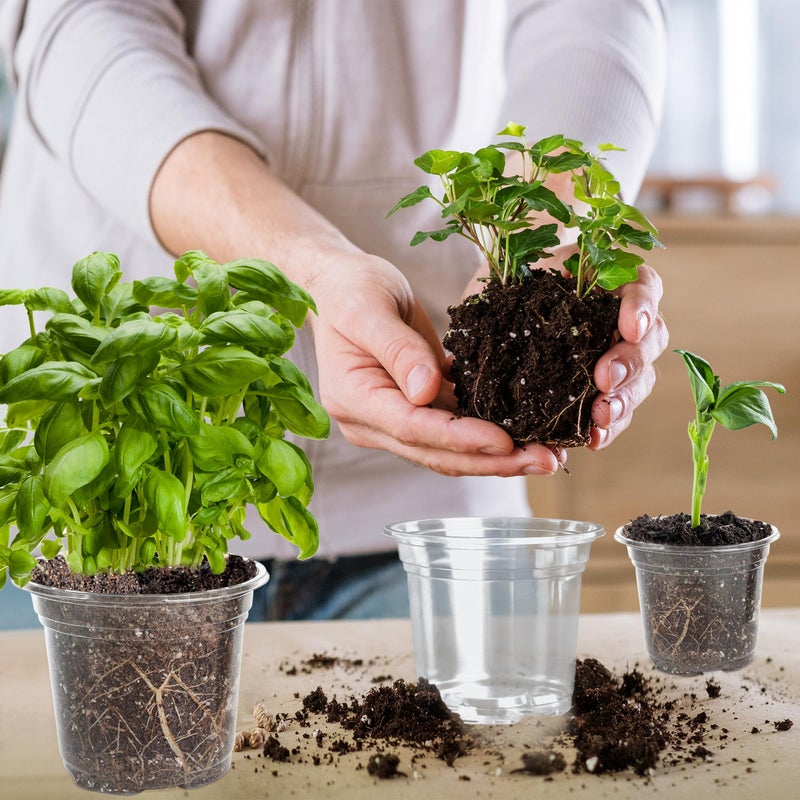 LOCONHA Small Plastic Plant Nursery Pot/Pots (36 Packs 5/4/3.5 Inch Plant Pot and 40 Plant Labels) Seedlings Flower Plant Container (Transparent) Seed Starting Pots Indoor Outdoor - Image 4
